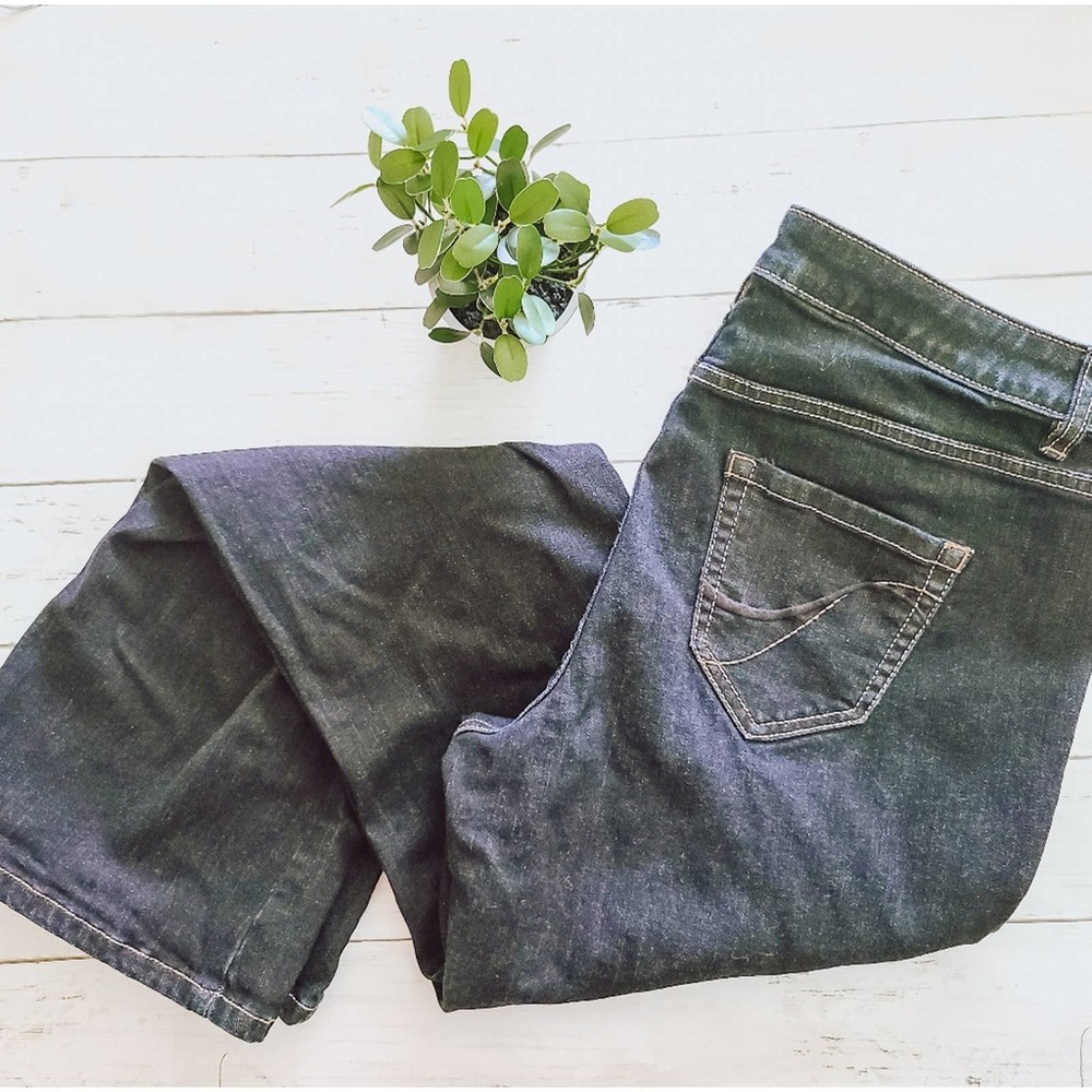 Lane Bryant Genius Fit Bootcut Jeans